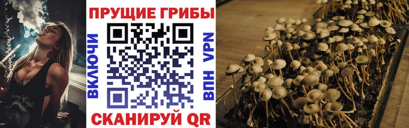 мориарти как зайти  Николаевск-на-Амуре  Псилоцибиновые грибы мухоморы  blacksprut ссылки 